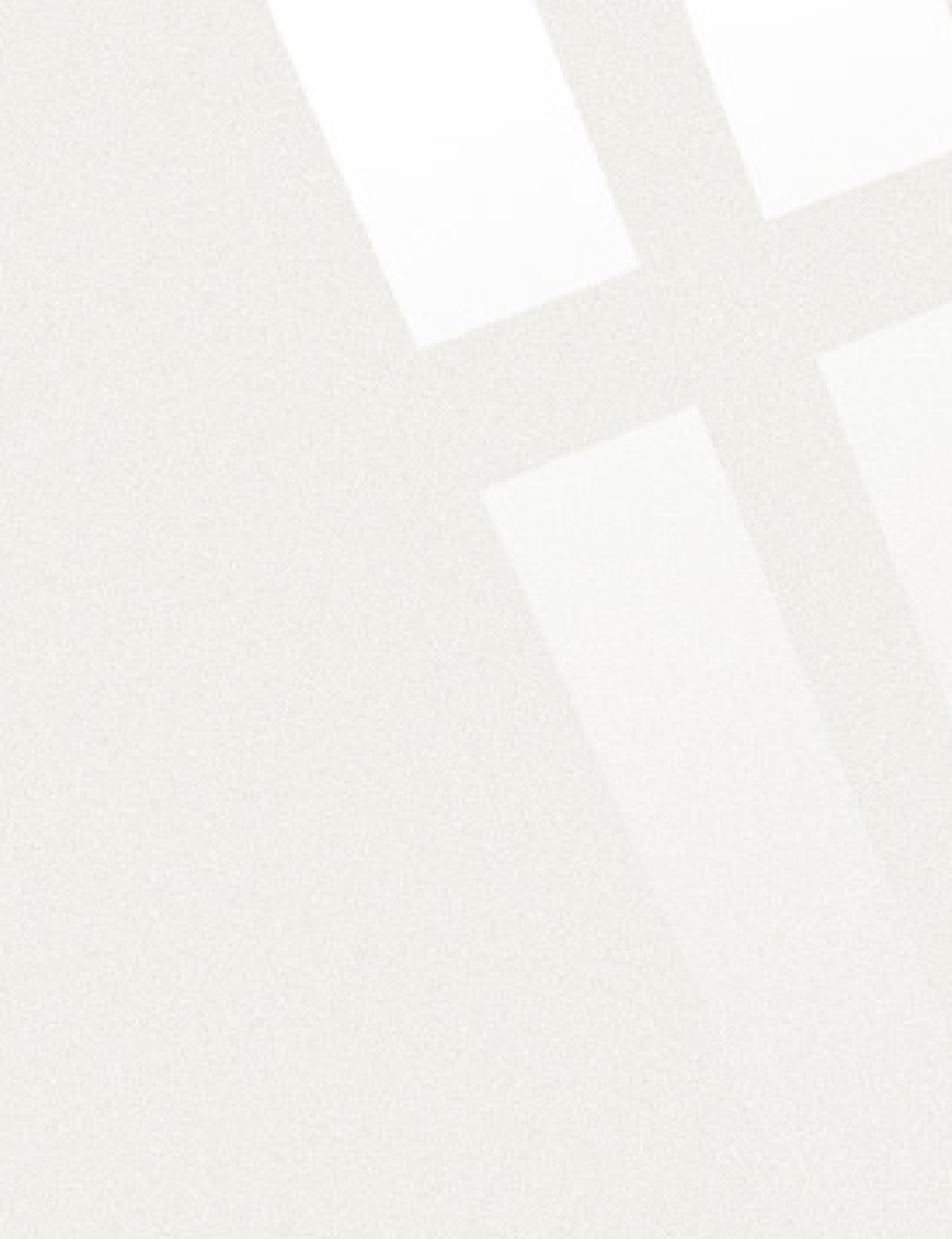 Mirror 910 280cm*120cm=3,36m2