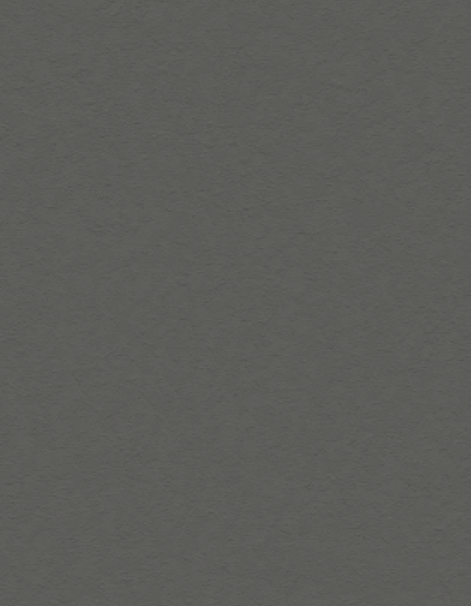 Pure 31016 280cm*120cm=3,36m2